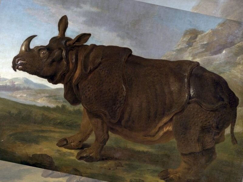 Жан-Батист Удри, 1749 год Клара