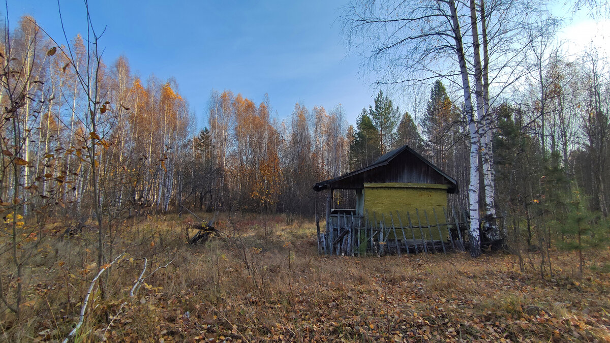 Тот самый дом. Листайте дальше ->