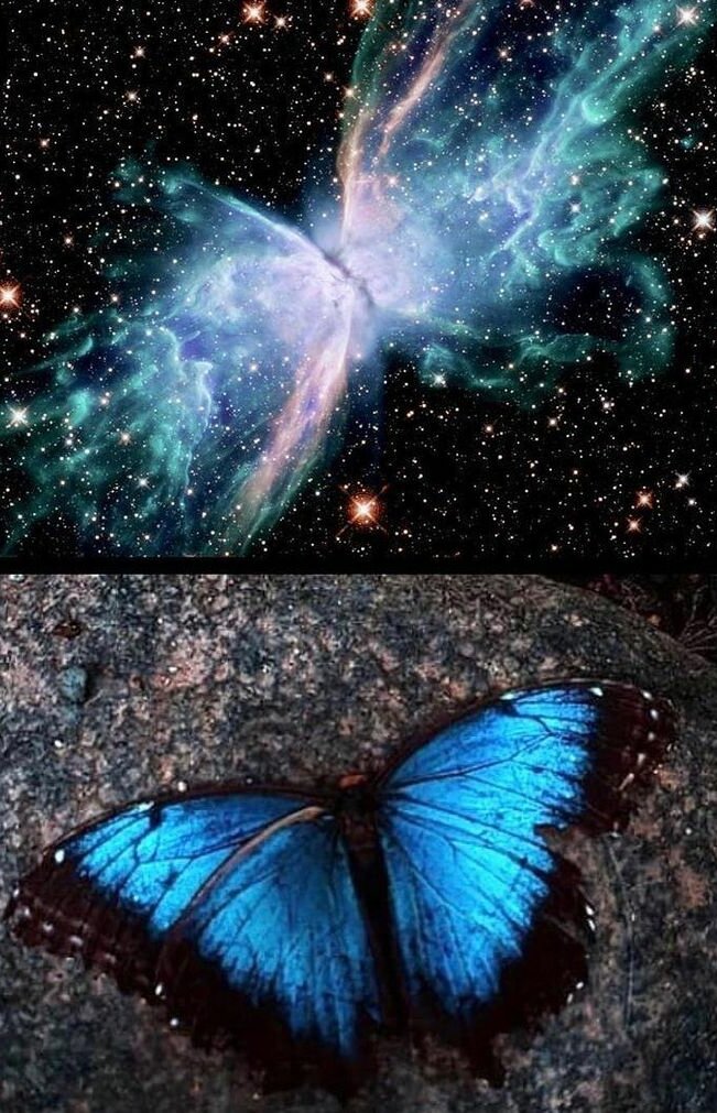 1) Жертва. ⁣⁣⠀
Реакция на проблему: найти виноватого, обвинить его.⁣⁣⠀
Подвержены болезням, неудачам, их активно сосут эгрегориальные структуры негативных эмоций.⁣⁣⠀
⁣⁣⠀
2) Борец.⁣⁣⠀
Реакция на проблему: найти виноватого, обвинить его и активно бороться с ним, доказывая свою правоту.⁣⁣⠀
Подвержены болезням, конфликтам, несчастным случаям и особо лакомый кусочек для структур, питающихся негативной эмоциональной реакцией.⁣⁣⠀
⁣⁣⠀
3) Искатель.⁣⁣⠀
Реакция на проблему: поиск ответов, желание разобраться, почему так случилось.⁣⁣⠀
Меньше подвержены болезням, стараются искать способы исправить ситуацию. Часто провоцируются эгрегориальными паразитирующими структурами, если ведутся, то снова скатываются в Жертв или Борцов.⁣⁣⠀
⁣⁣⠀
4) Игрок.⁣⁣⠀
Реакция на проблему: быстрое принятие решения на исправление ситуации, не тратят энергию на поиск причин. ⁣⁣⠀
Почти не болеют, успешны, радостны, с эгрегорами сотрудничают или имеют свои способы защиты от них. Могут так же, но редко вестись на провокации, тогда попадают в категории Жертв, Борцов и Искателей, но как правило не на долгий период. ⁣⁣⠀
⁣⁣⠀
5) Творцы.⁣⁣⠀
Реакция на проблему: о, прикольно. Понаблюдаю и разрулю, а может пока наблюдаю, то и само разрулится.⁣⁣⠀
Здоровы и счастливы. Иногда спускаются в Игроки и ниже ради приключений или если их изысканно спровоцировали.⁣⁣⠀
⁣⁣⠀
6) Авэли (источники).⁣⁣⠀
У них проблем нет. Полная гармония. На Земле третьего измерения не встречаются. ⁣⁣
