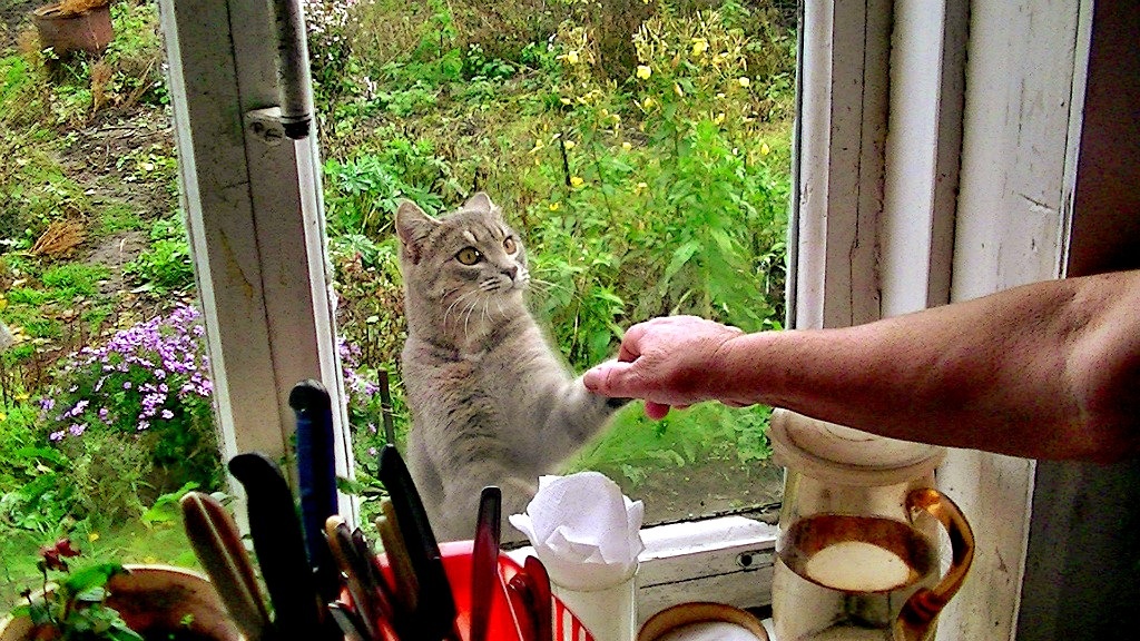 Дима! Дай маме ручку!