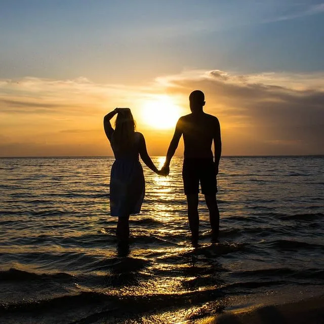 Фото из открытых источников Яндекс 