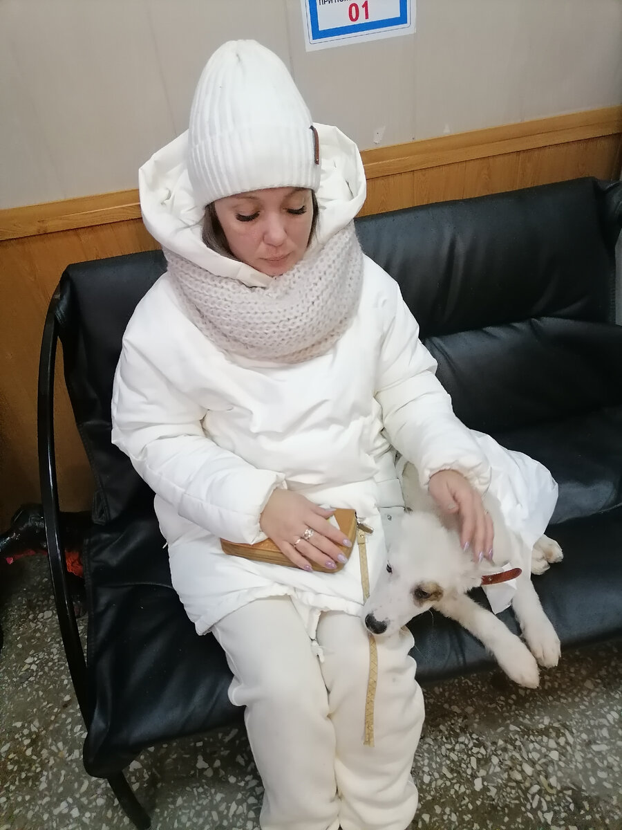 В Зоодокторе на приёме у нашего ветеринара.. 