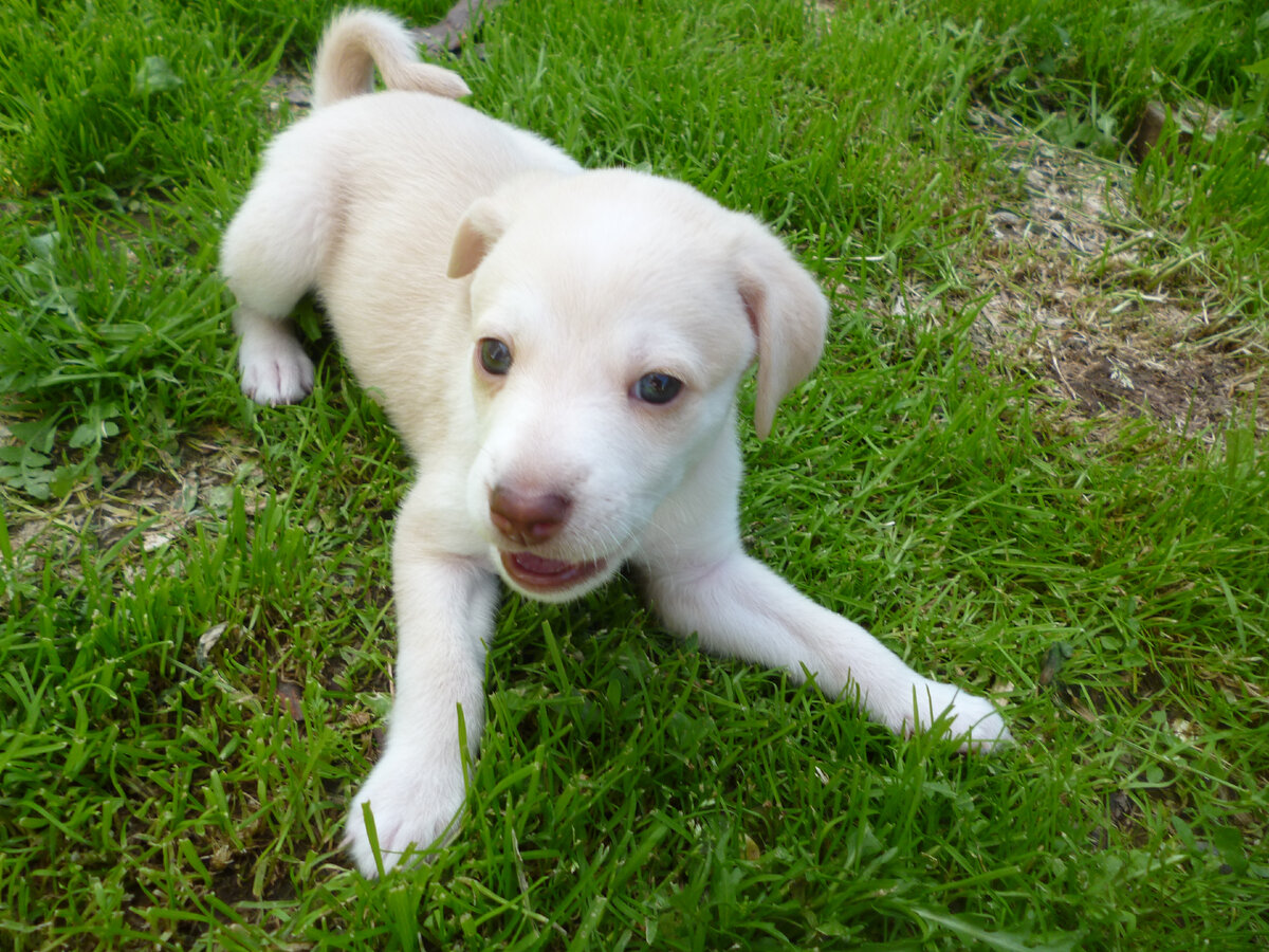 Моя Тильда в юности.