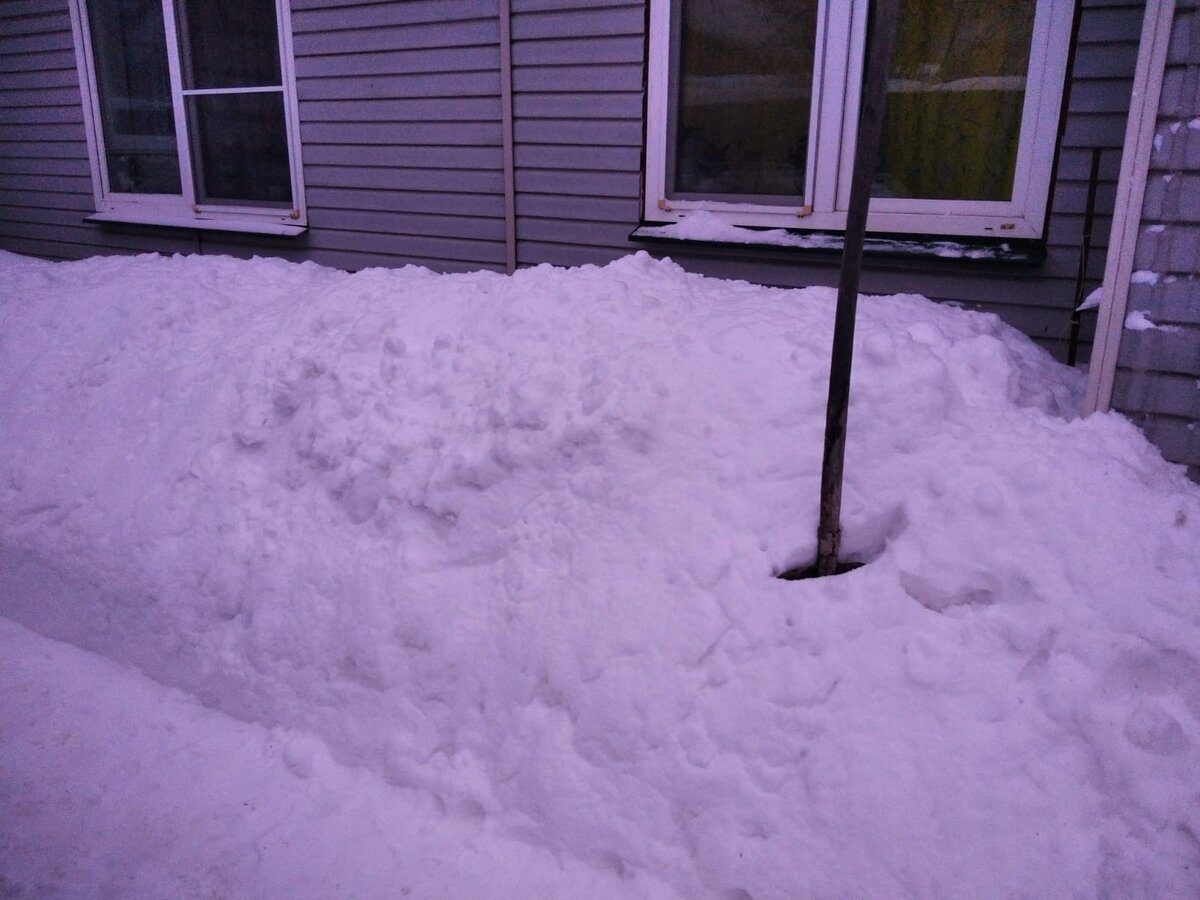 Подоконники на уровне чуть ниже плеч. Снег уже просто некуда складывать!