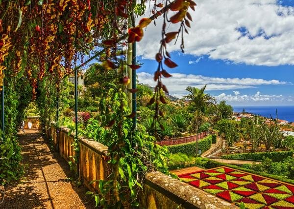 Ботанический сад на Мадейре, фото из открытых источников