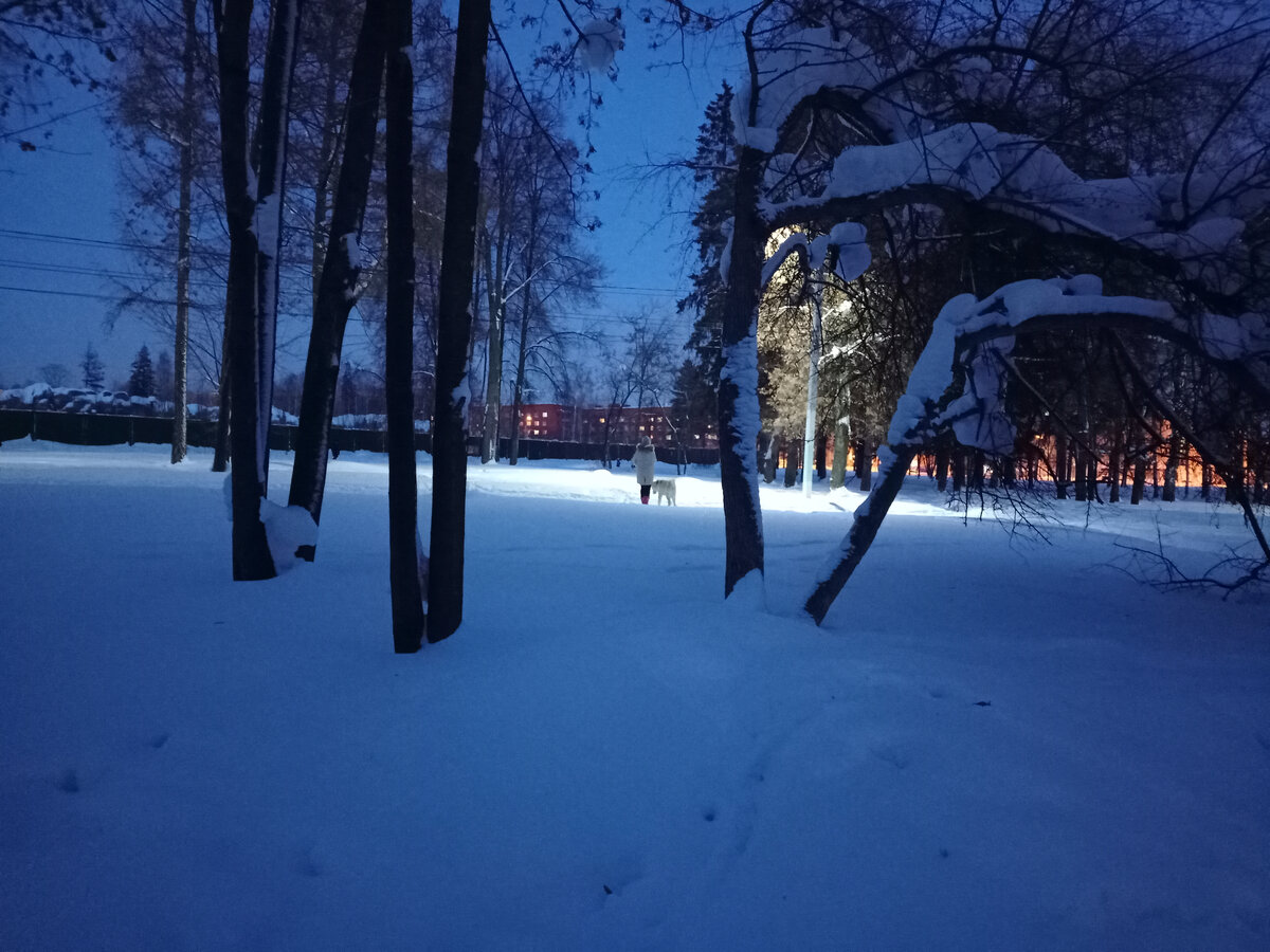 Фото автора. Прогулки становятся еще милее и романтичнее.