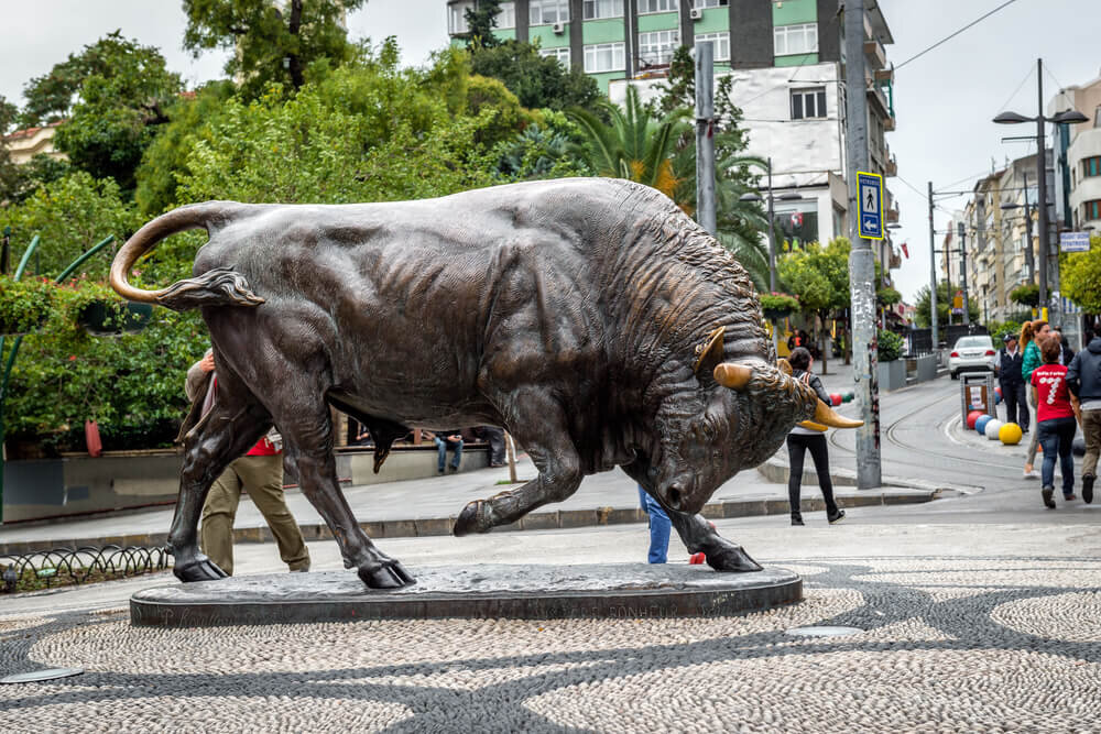 Карликовый бык привлекает внимание на рынке Стамбула