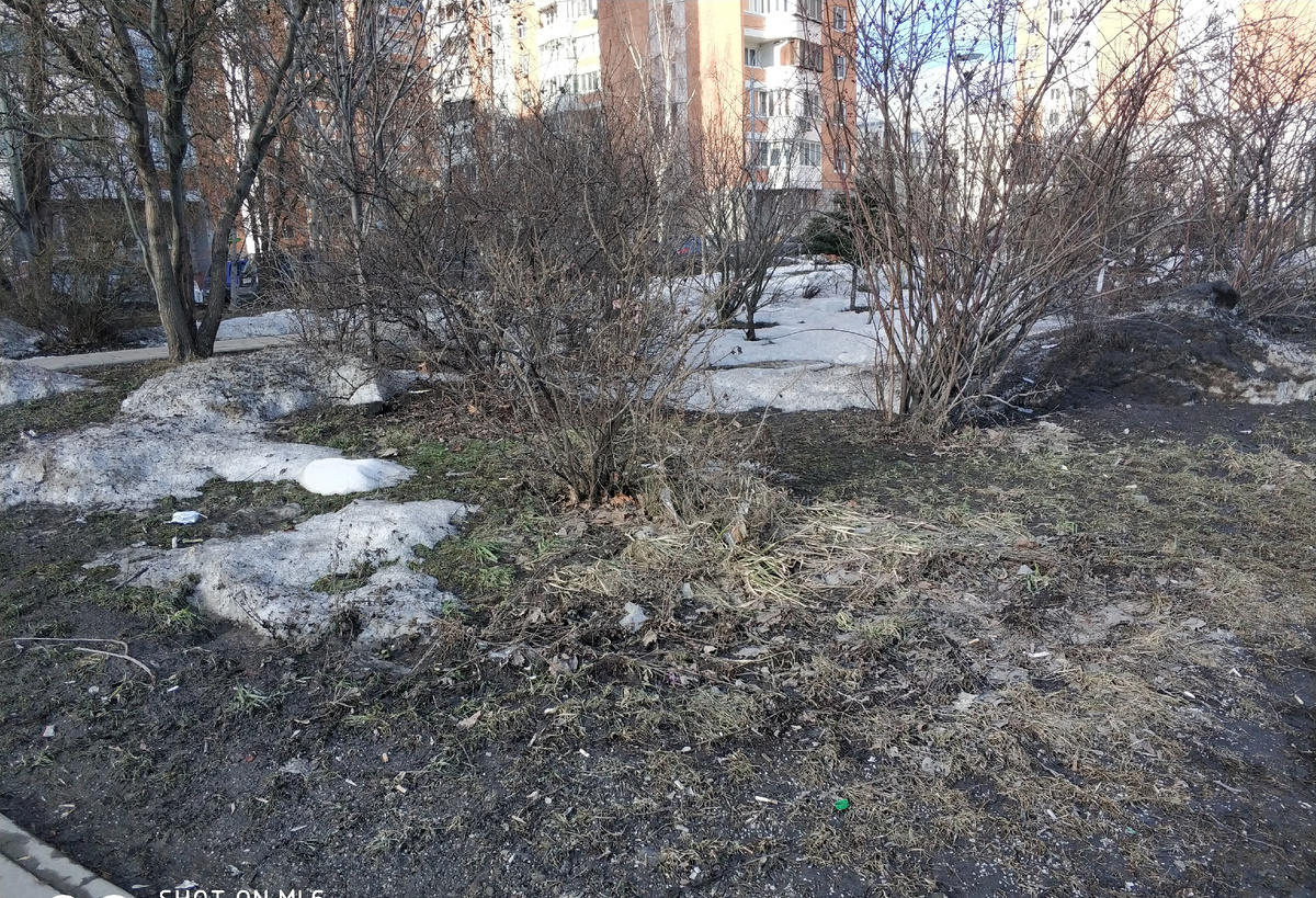 Фото автора.