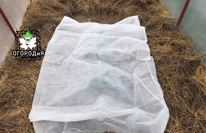 Никаких дуг, просто мешок из агроспана