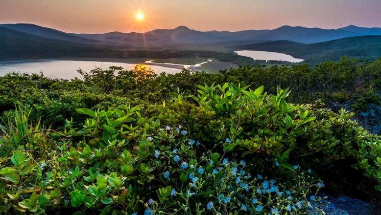 ФОТО: zapoved.net