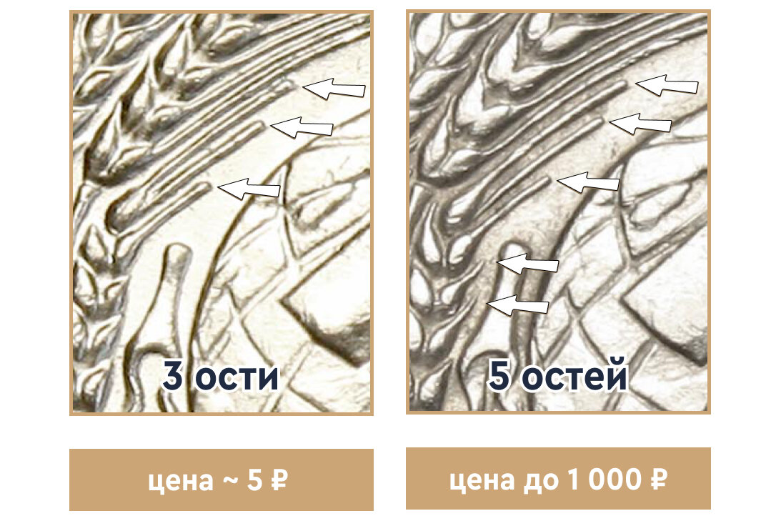 Для поиска редкой монеты вначале смотрим на ближайший колос слева от земного шара - считаем сколько видно остей у этого колоса от выхода из-под ленты и до 5-го зерна.