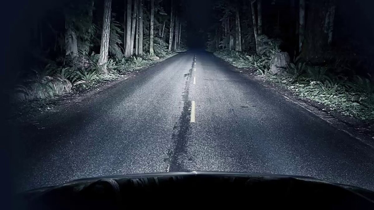 Если вы вдруг собираетесь отправиться в соседнюю деревню, дорога к которой ведёт через лес, обязательно выбирайте для поездки ночное время! Так ваше маленькое путешествие может превратиться в незабываемое, правда, не факт, что вам не захочется его забыть. В темноте даже самые безобидные предметы могут до смерти напугать, но самое жуткое то, что вы, скорее всего, так и не узнаете, являлись ли они таковыми.