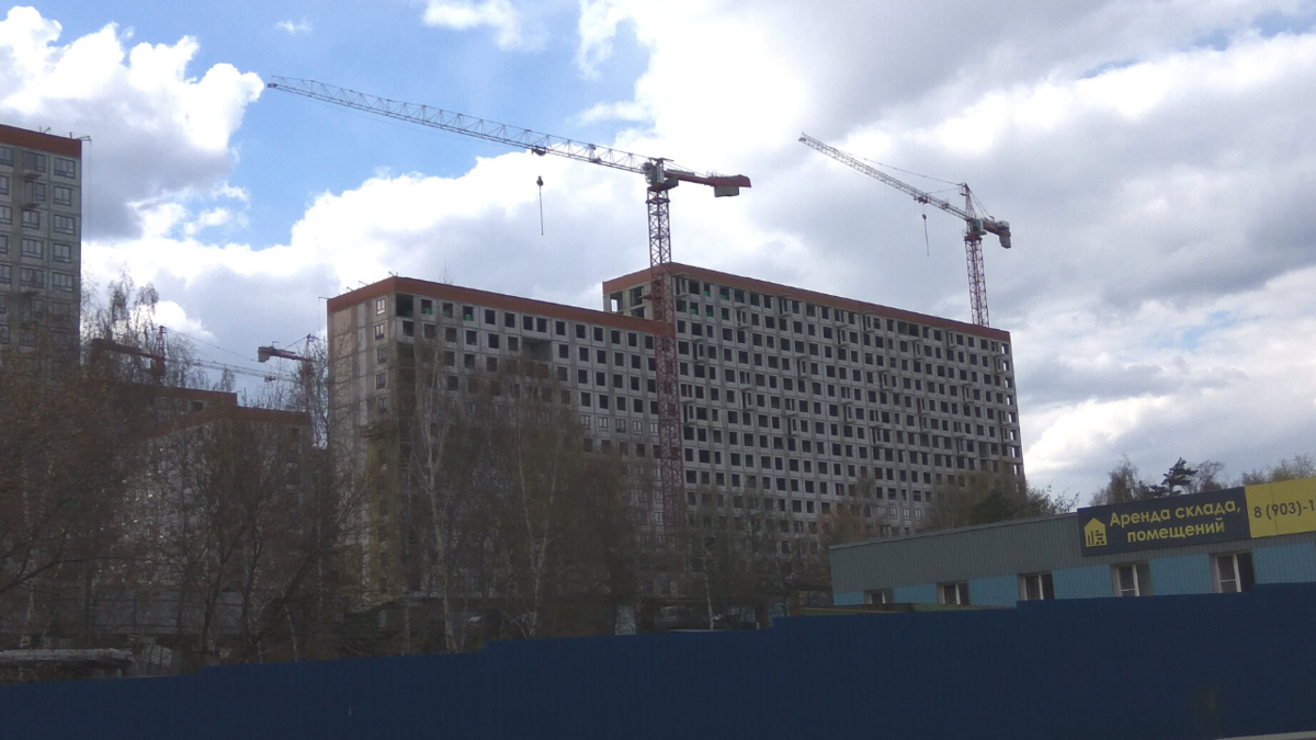 Стройка. Фото: Дмитрий Зайцев 
