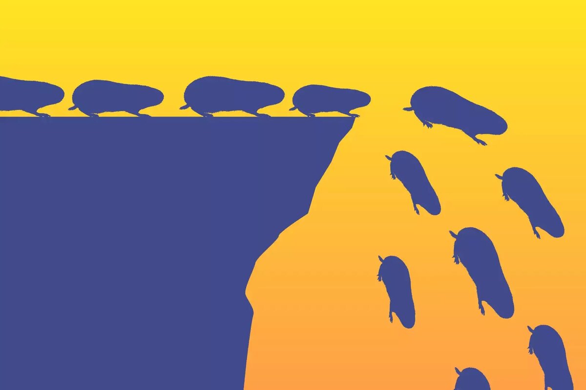     Правда ли, что лемминги склонны совершать массовые самоубийства?