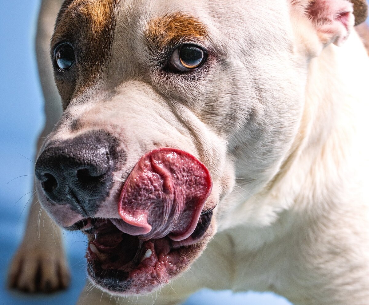 Photo by Michael G on Unsplash