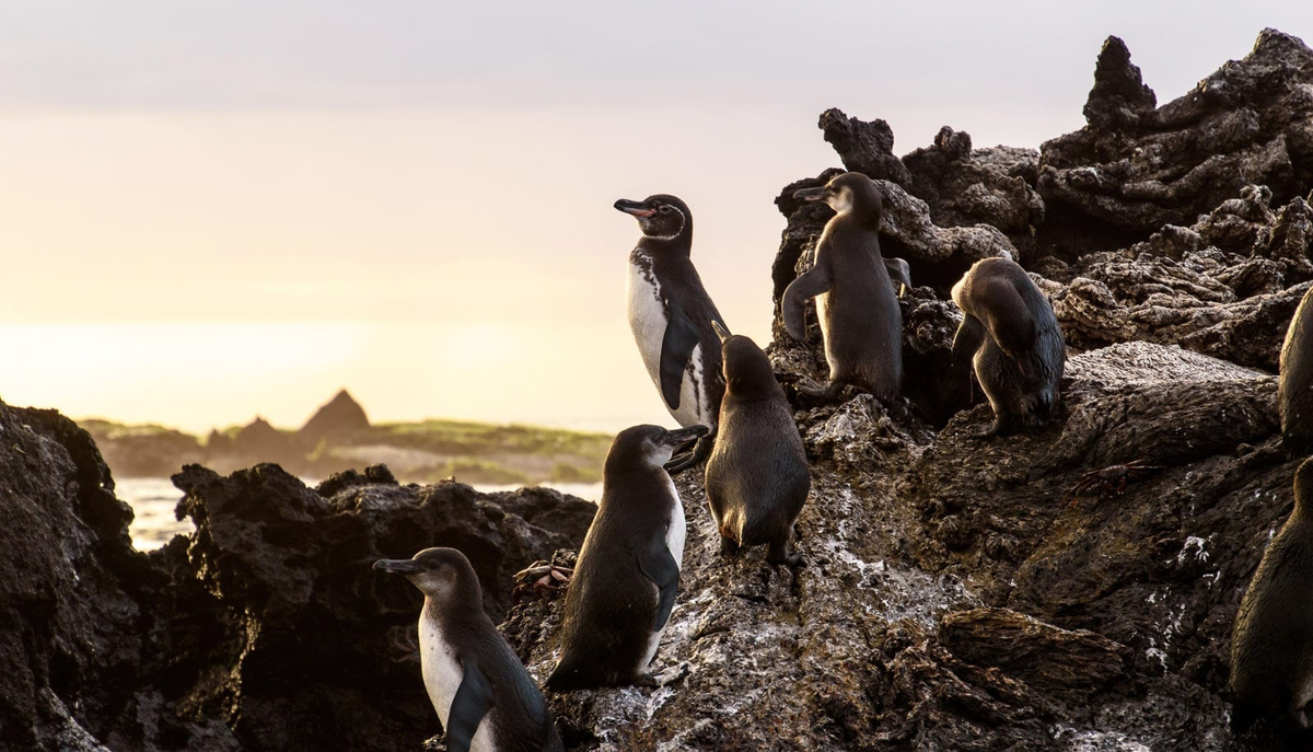 Эти ребята по любому участвовали в съёмке каких-то элитных духов. 