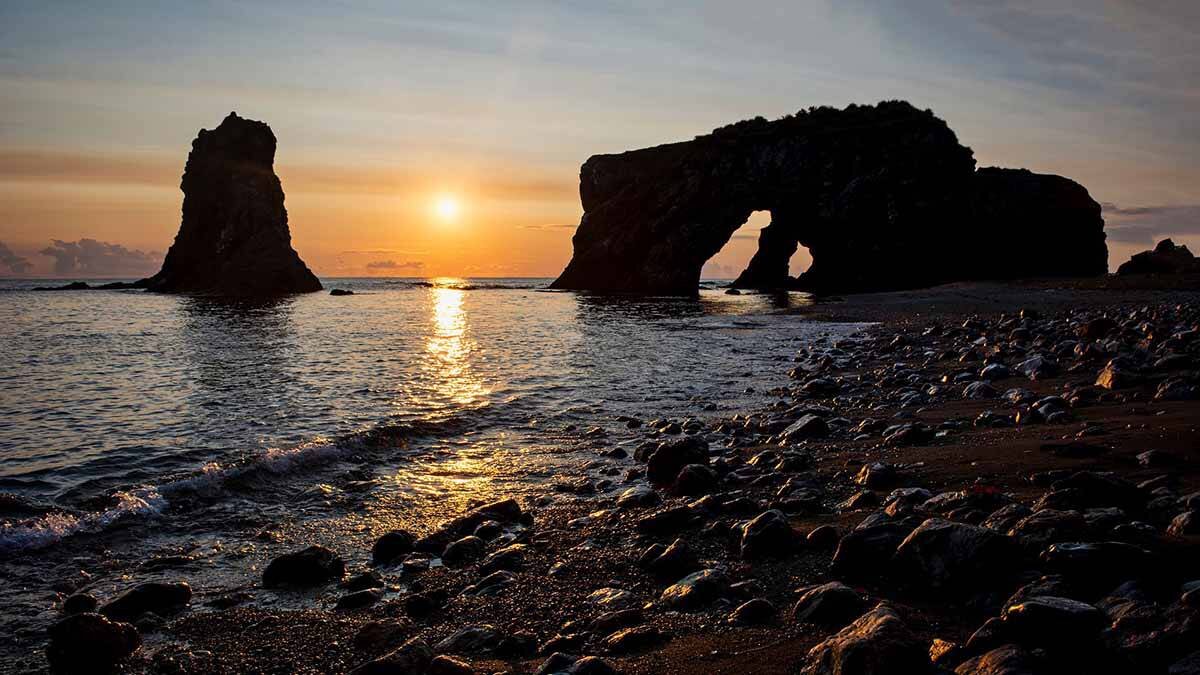    Фото: Pixabay