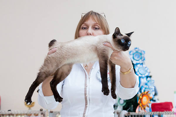 Извините, женщина, а какое стоп-слово? 