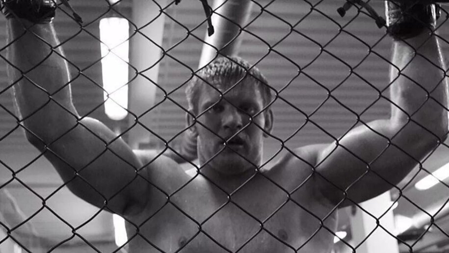 Фото из открытых источников.