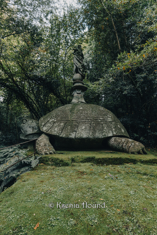 �������� ������: ���� ���������� ���� ����������� ���������� �������� ��� ����� ����