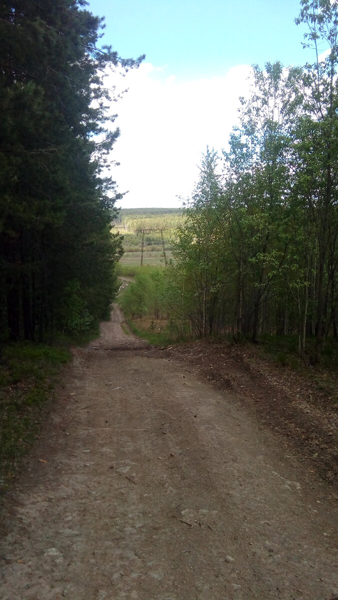 Дорога. которой идем