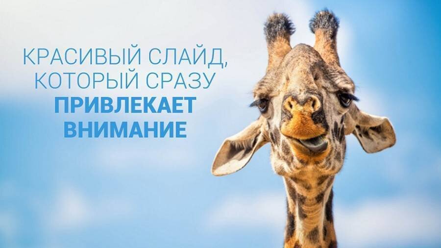 Собственный дизайн (очень простой, но при этом стильный)
