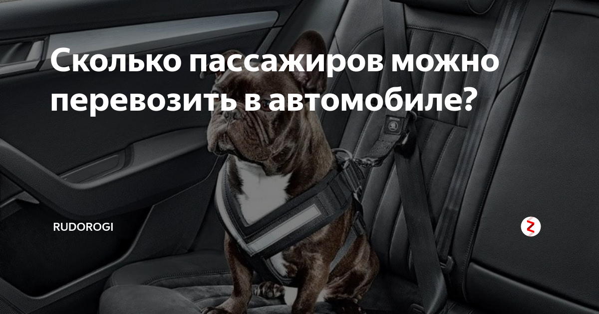 Сколько пассажиров можно перевозить в авто. Сколько человек можно перевозить в автомобиль. Сколько пассажиров можно перевозить в такси. Сколько человек можно перевозить.