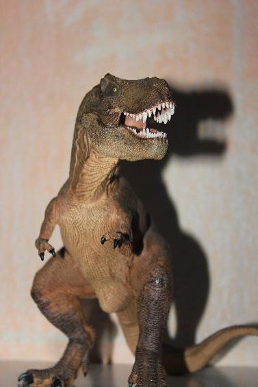 Первая попытка. Плохо: Тень и пересвет