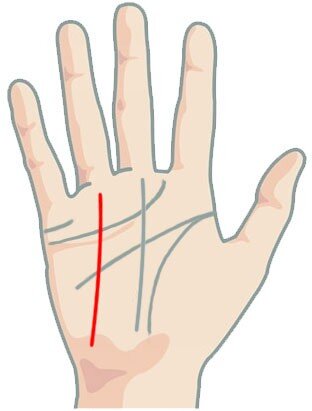 Линия солнца начинается с основания ладони и заканчивается в конце ладони