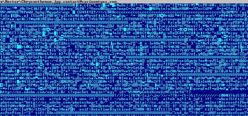 Шифр сеть. Компьютерные шифры. Программы шифрования информации. Зашифрованный код программный. Шифрование картинки.