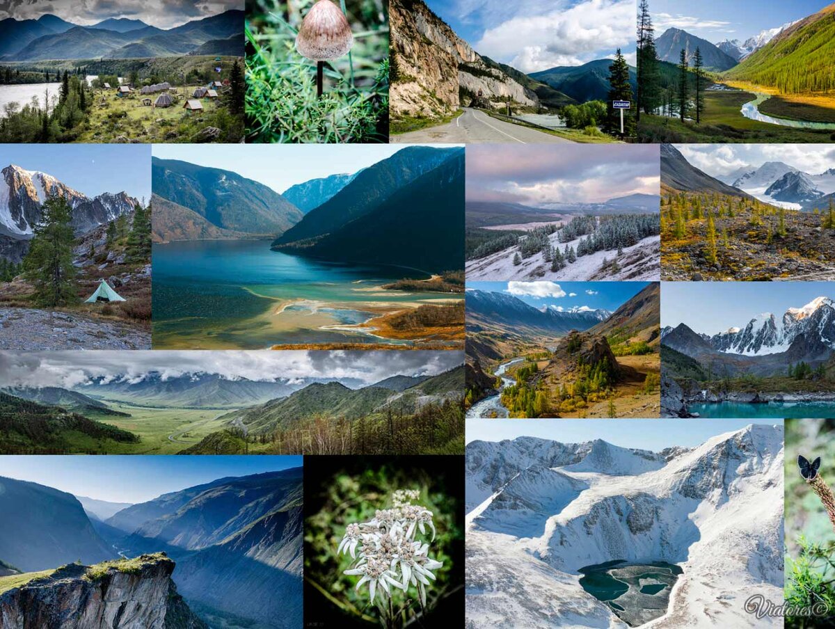 Коллаж природа Канады