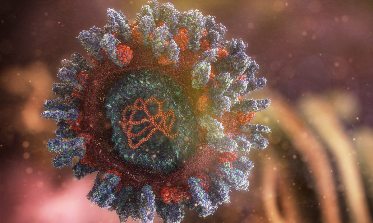Много новых вирусов. Вирус. Красивые вирусы. Вирусы под микроскопом. Самый красивый вирус.