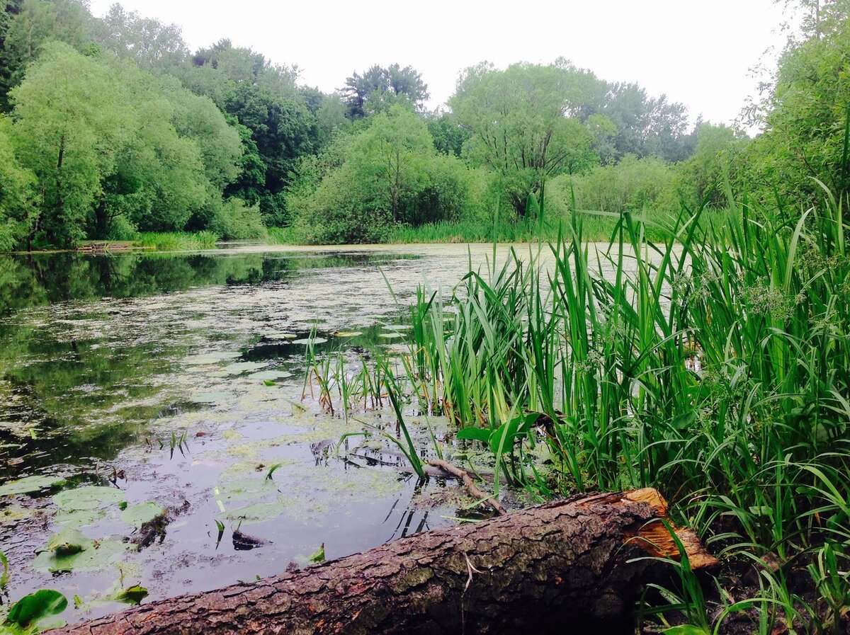 Авторская фотография Вадима Болтнева