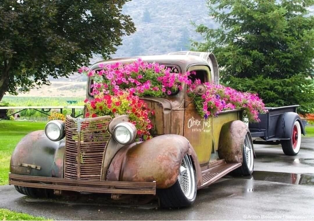 Фото: Instagram decorator_doma54_ 