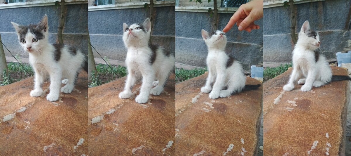 Мальчик.