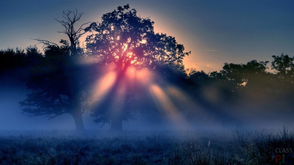 фото взято с просторов инета. Благодарю автора за снимок.