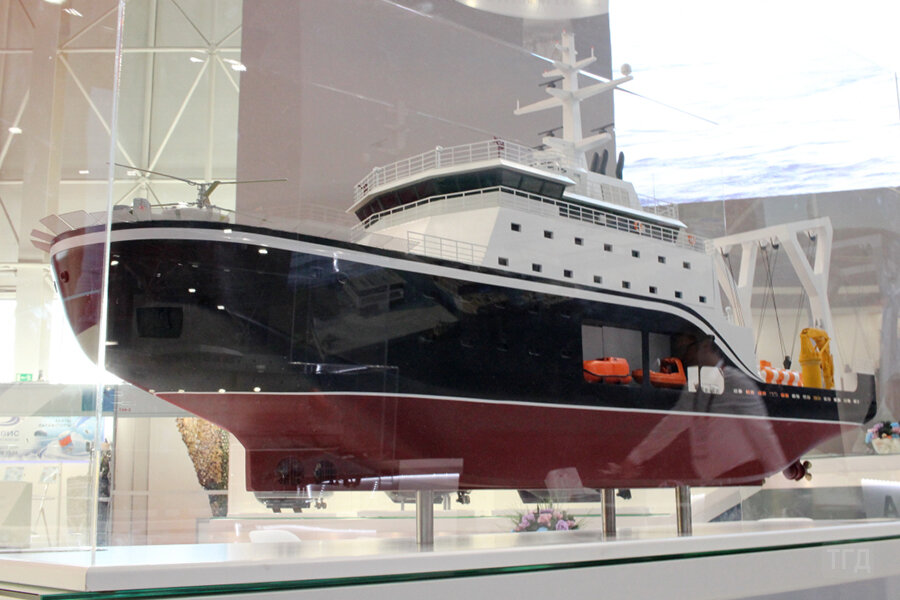 Судно-спасатель проекта 02981Э / Фото: ТГД