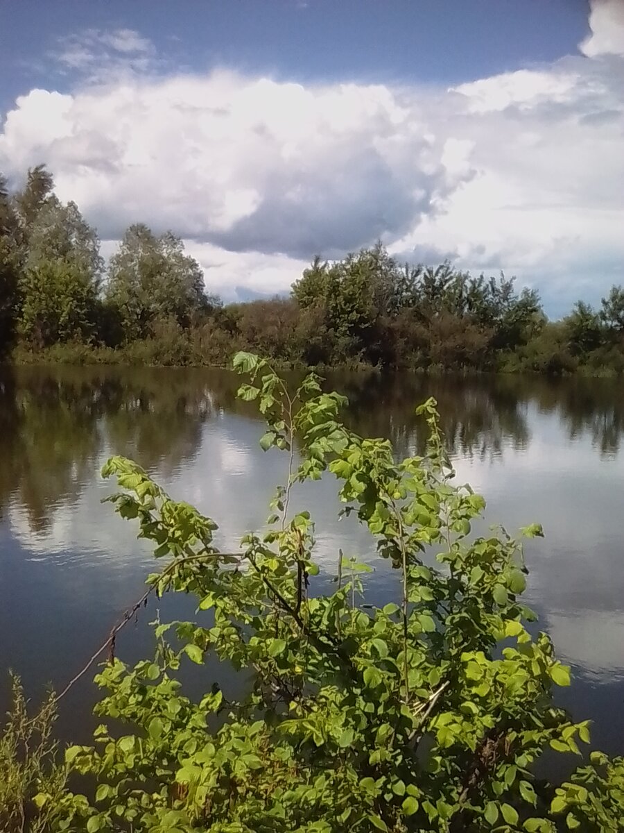 Это мы на реке в с Тоцкое