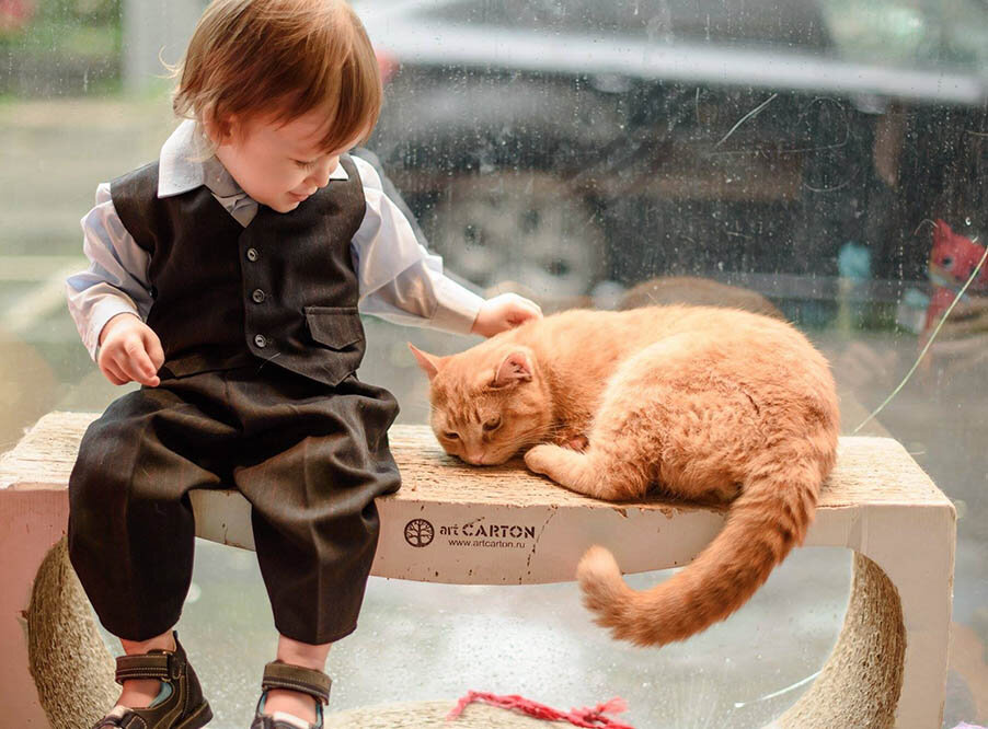 Фото: facebook.com/kotikiilyudi