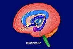 

Я помню, что было десять лет назад, но то, что случилось вчера, стирается начисто. Память подводит в нужную минуту, когда хочется блеснуть эрудицией или вспомнить важное лекарство. В самый ответственный момент мы оказывается беззащитными перед действием времени. Загадки человеческой памяти уже разгаданы. Есть способ улучшить свою память. Но сначала хочется узнать, насколько сильна память. 

Ответив на несколько предлагаемых ниже вопросов, Вы сможете оценить состояние своей памяти. Ответ на каждый вопрос Вы должны оценить по 4-х бальной системе (никогда не забываю– 0 баллов, редко – 1 балл, время от времени – 2 балла, часто – 3 балла, очень часто – 4 балла). Суммируйте баллы и прочтите комментарии. 

Вопросы: 

