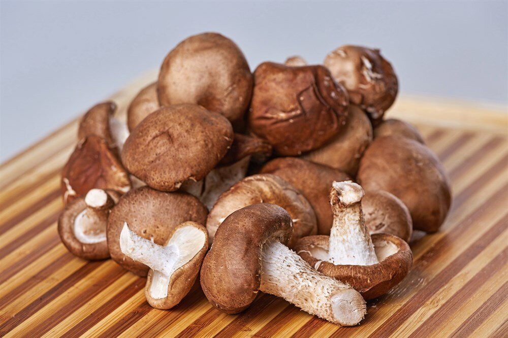 Сколько варить шиитаки. Гриб шиитаке. Шиитаке Shiitake (Lentinula edodes). Шиитаке съедобные грибы. Опята шиитаке.