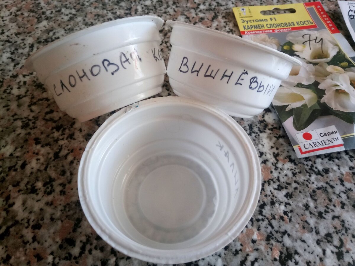 Емкости для посева семян эустомы беру маленькие