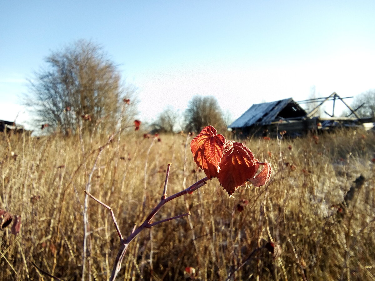 Деревня родина нижегородская область. Сельская дорога. Деревня дали. Деревня дали. Деревни россии.