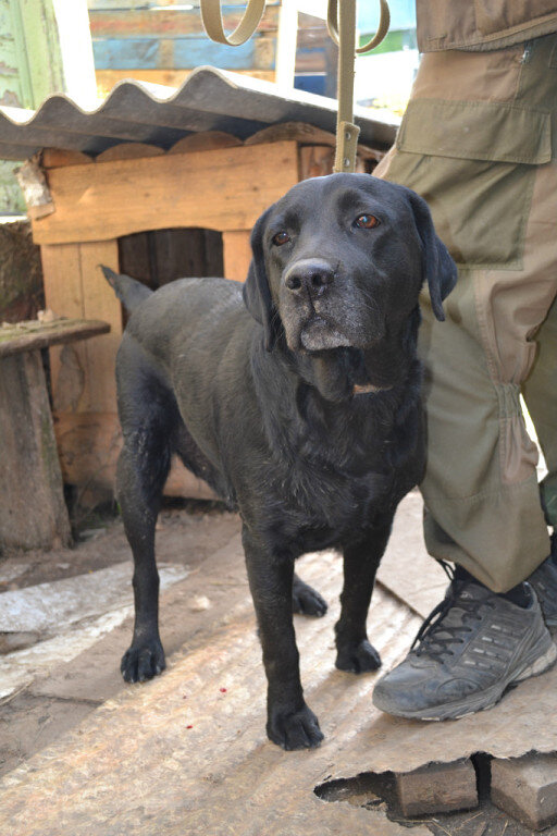 Первый день. В глазах одна печаль.