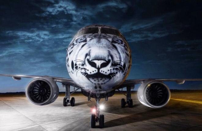 На носу изображение снежного барса. Таким образом Air Astana надеется привлечь внимание мировой общественности к проблеме исчезновения эти животных.