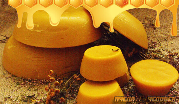 Применение пчелиного воска в домашних условиях: польза и вред