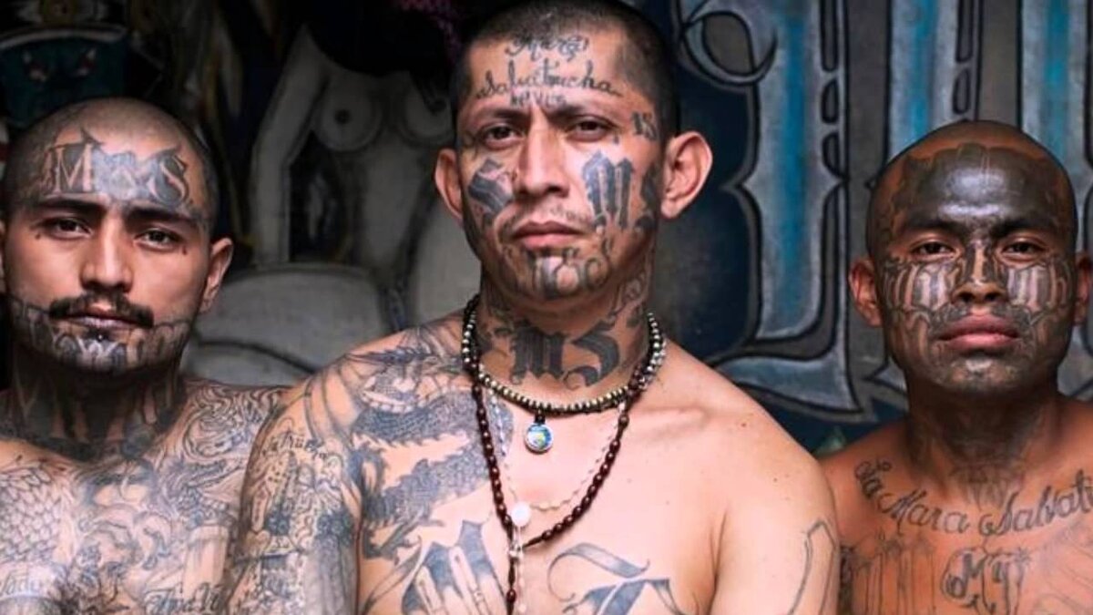 Эти колумбийские бандитос тоже хотят познакомиться на Яндекс.Картинках