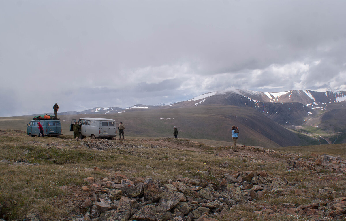 РЈРєРѕРє 2012 Denikin