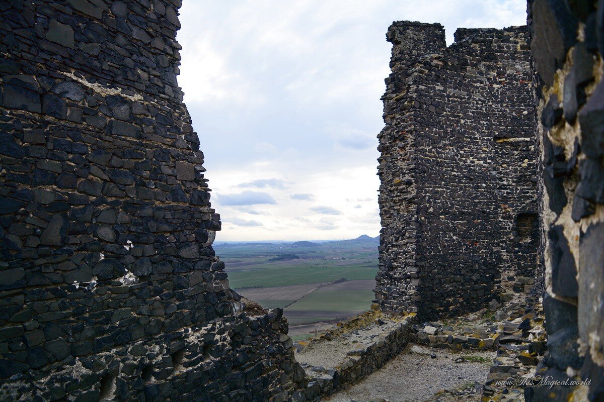 Остатки дворцовых помещений