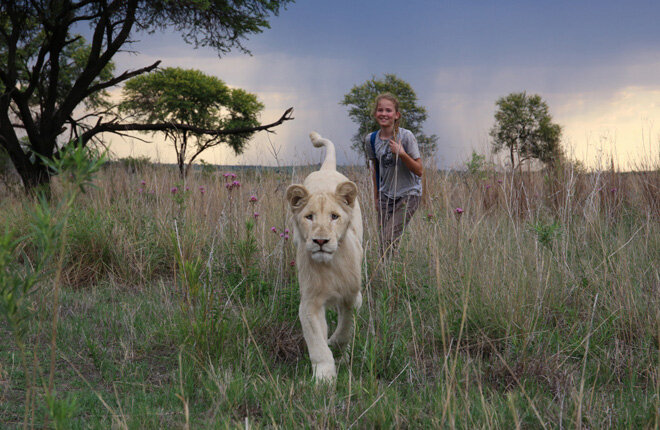 кадр из фильма